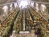 thumbs_troop_photos_104_20090815_1088558184